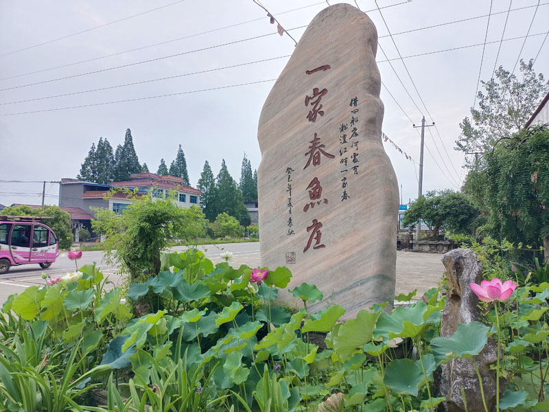 水牧舟農(nóng)墾田園智農(nóng)示范基地《魚鳥之戀》  “ 稻魚禽 ”  共棲共生健康魚俗食品加工產(chǎn)業(yè)